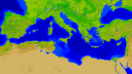 Mediteranian Vegetation 1920x1080